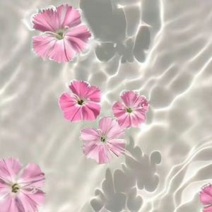 Meet your Posher, Brook